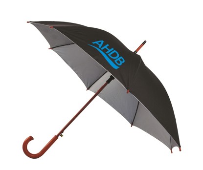 48 Inch Arc Personalized Auto Open Umbrellas with Hook Handle