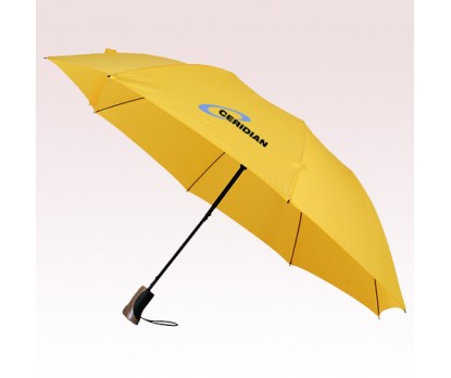 Auto Open Folding Umbrellas