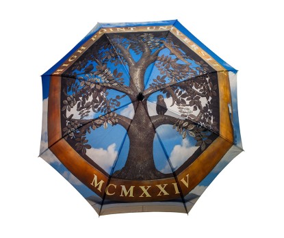 Customized Full Color Fashion Umbrellas