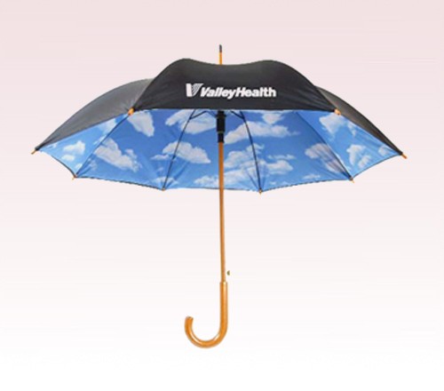 Personalized 48 inch Auto-Open Wood shaft Fashion Umbrella