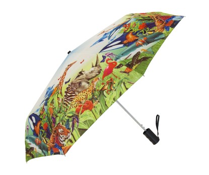 Full-Color Canopy Printing - Single Canopy