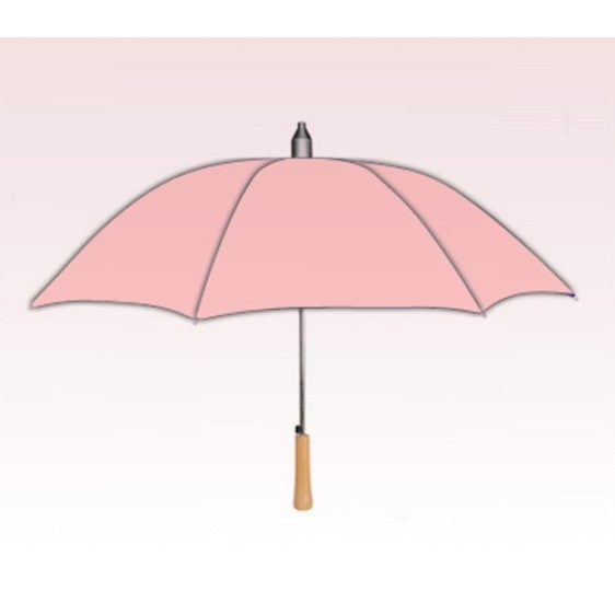 Personalized Pink 48 inch Arc Auto-Open Drip Catcher Fashion Umbrella